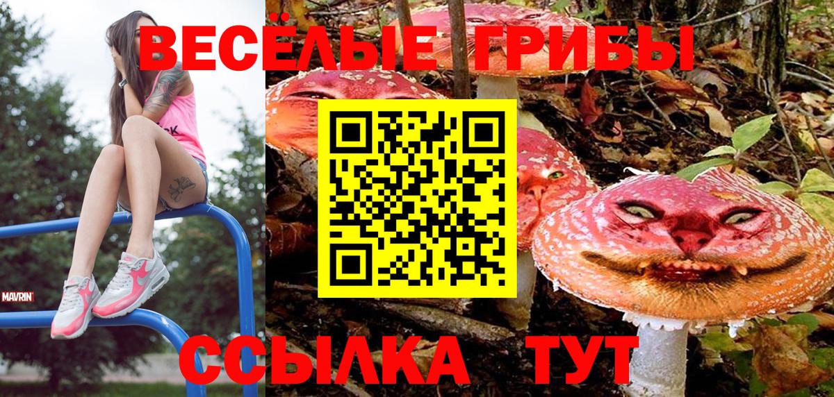 Псилоцибиновые грибы Magic Shrooms  Галлюциногенные грибы ЛСД  Аксай  Вход с VPN 